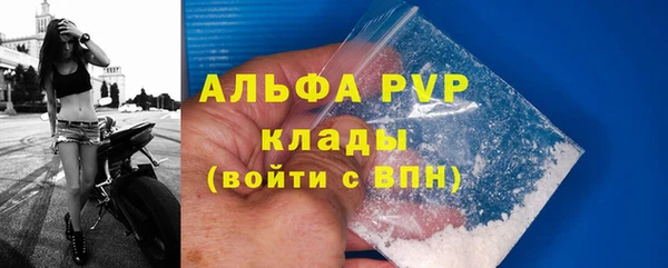 крисы Алексин