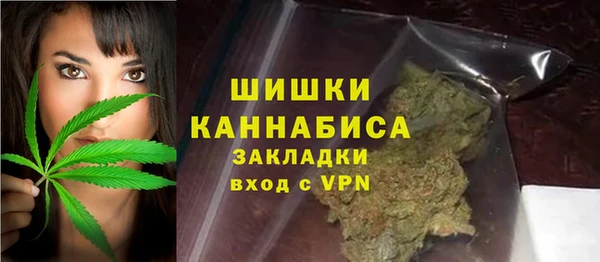 стафф Михайловск