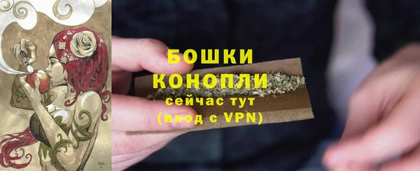 стафф Михайловск
