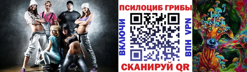 дарк нет какой сайт  Алейск  Псилоцибиновые грибы GOLDEN TEACHER 