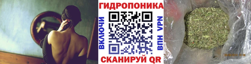 МАРИХУАНА конопля  KRAKEN зеркало  Алейск 